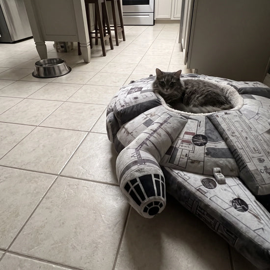🚀 Space‑Themed Cat Bed – Cozy Cockpit‑Style Hideaway for Cats & Small Dogs